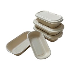 Bagasse খাদ্য পাত্রে